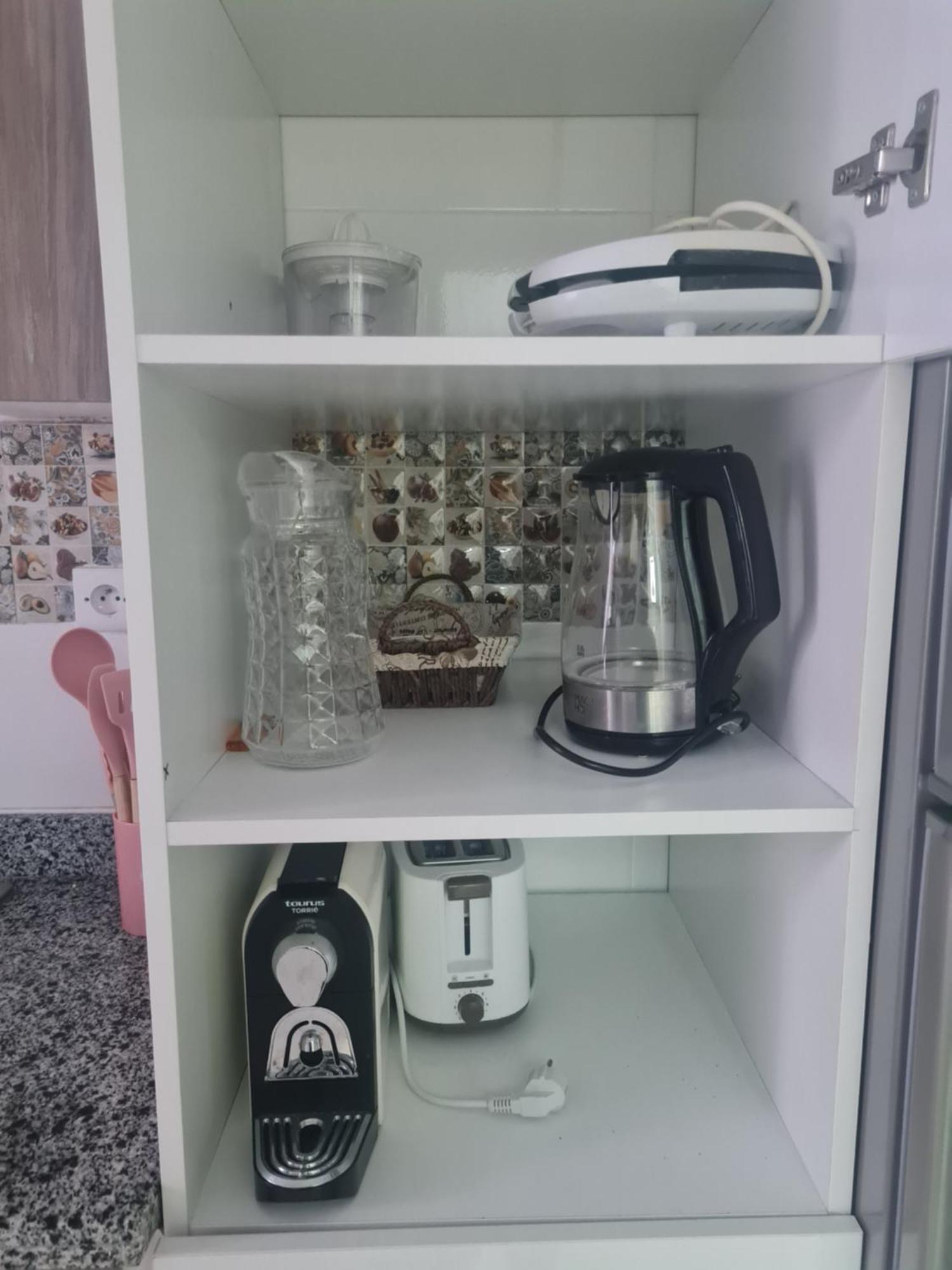 Familial Gardenia Tangier
